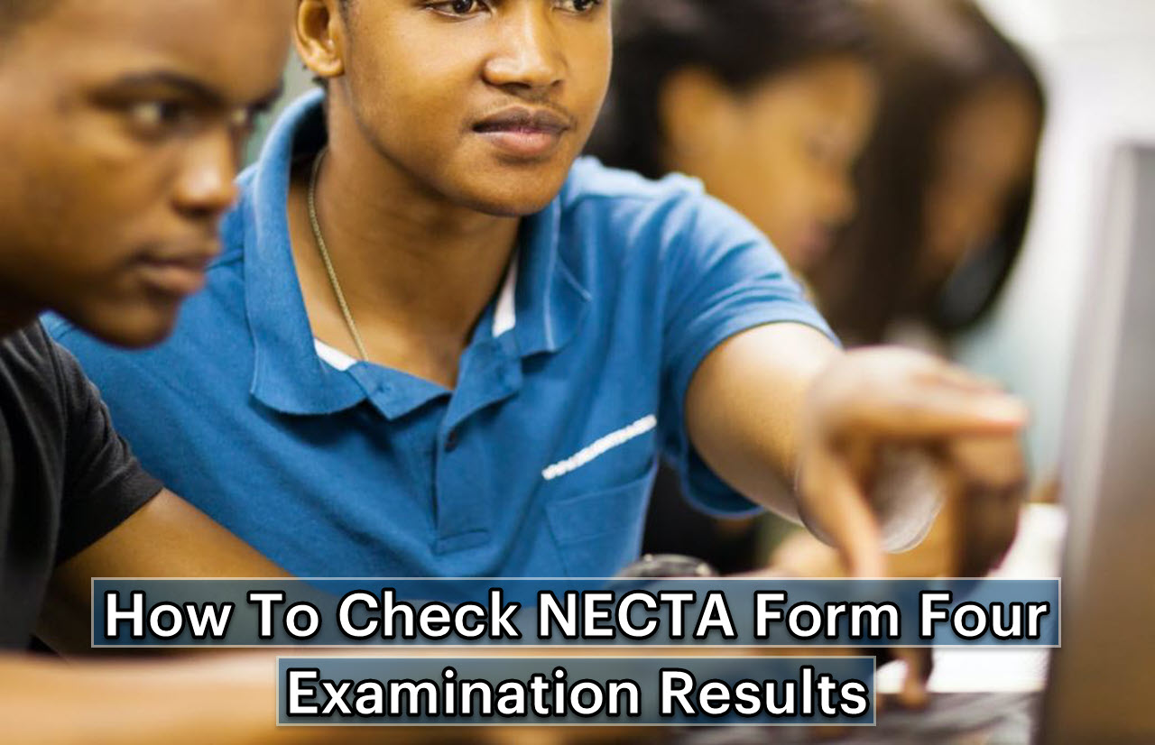 How To Check NECTA Form Four Examination Results