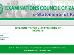 ECZ Portal E-Statement: Accessing Your ECZ Statement Of Results With Ease