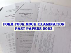 Form Four Mock Examination Past Papers 2023