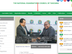 NECTA Equivalence Certificate: Apply Online Now