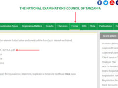 Necta Exam Result Appeal Form PDF Download